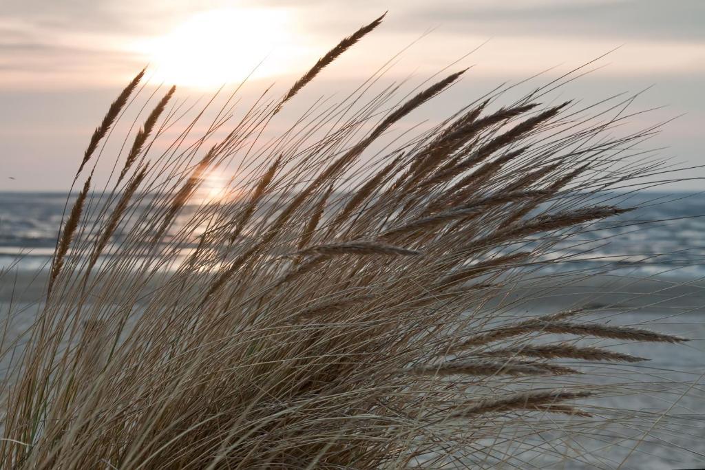 Cuxland-Ferienpark Nordseebad Dorum Luaran gambar